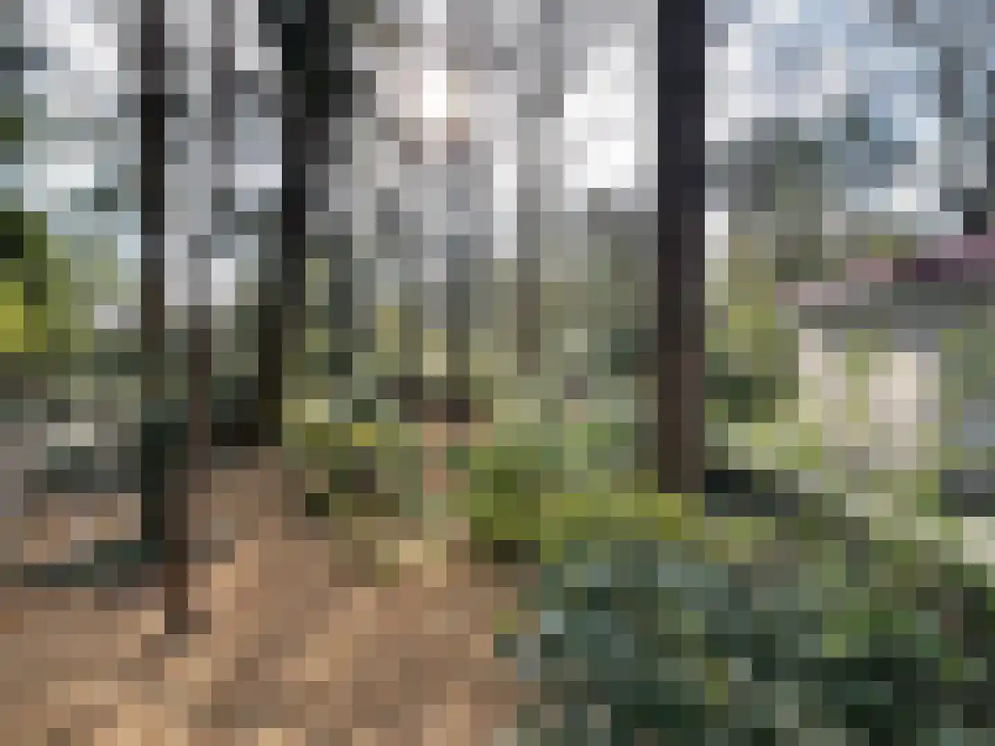 Boslaan 2 14 Harderwijk thumbnail 18