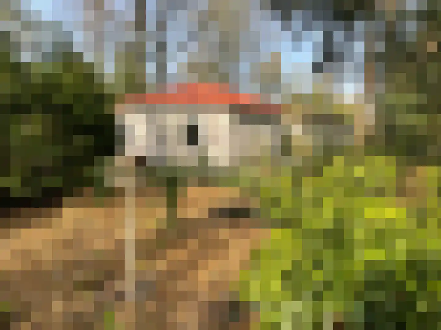 Boslaan 2 14 Harderwijk thumbnail 20