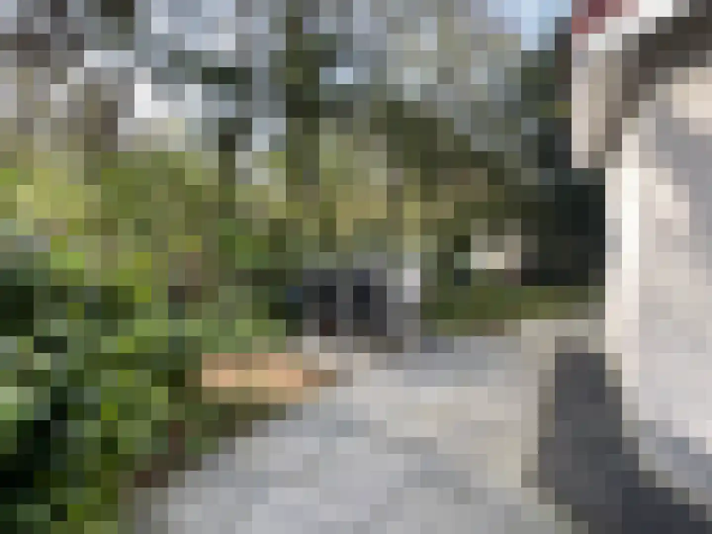 Boslaan 2 14 Harderwijk thumbnail 21