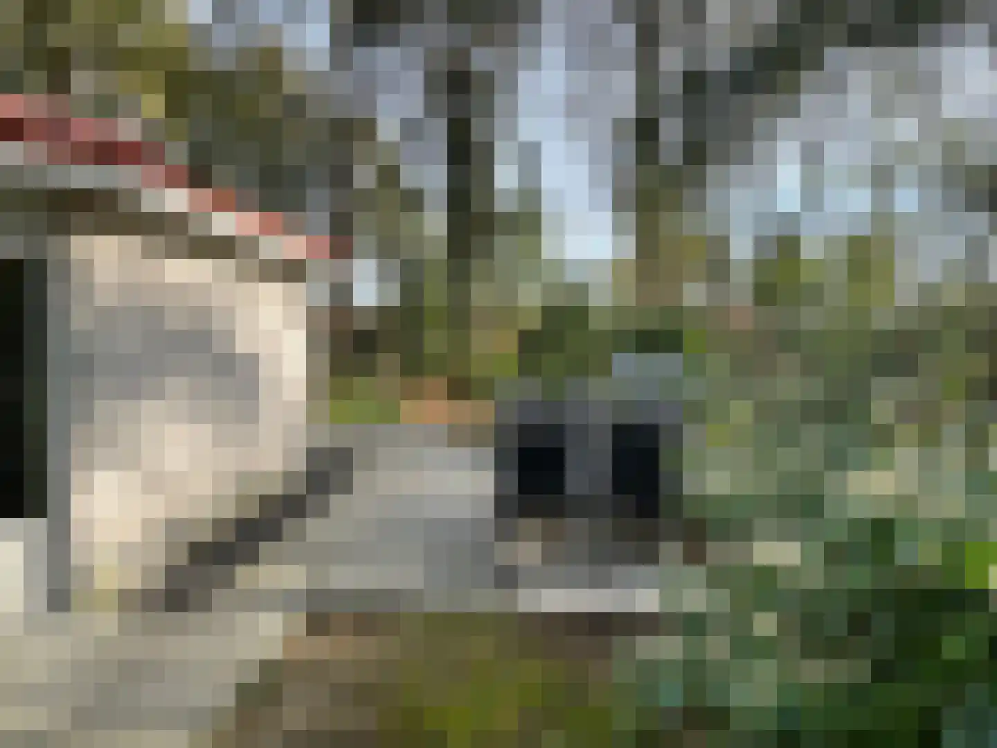 Boslaan 2 14 Harderwijk thumbnail 22