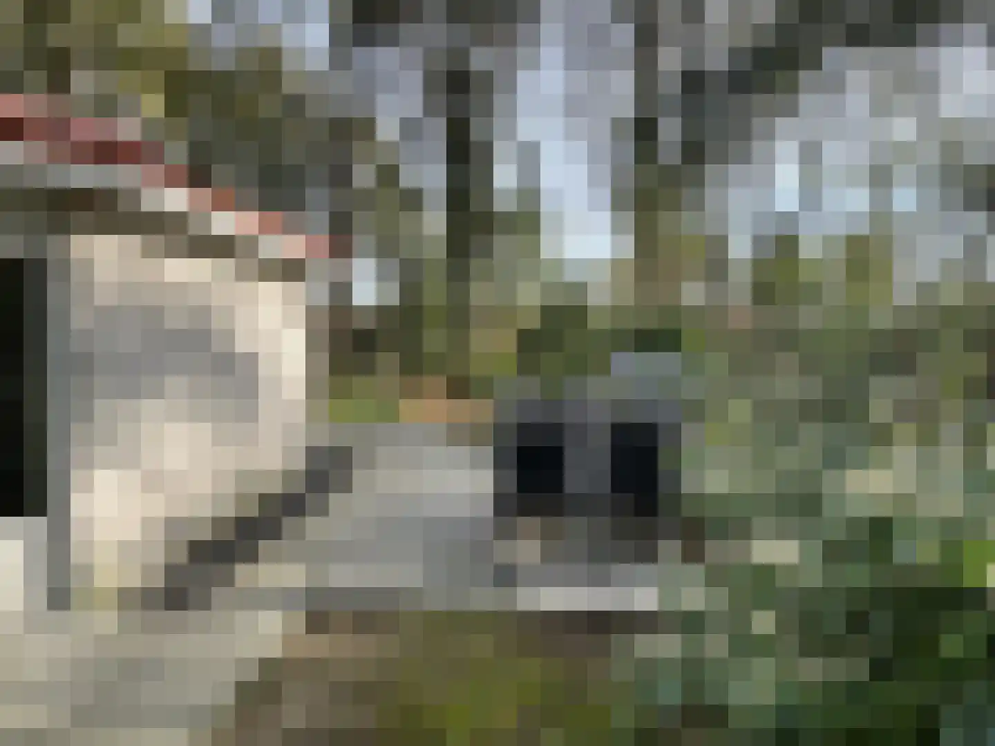 Boslaan 2 14 Harderwijk thumbnail 22