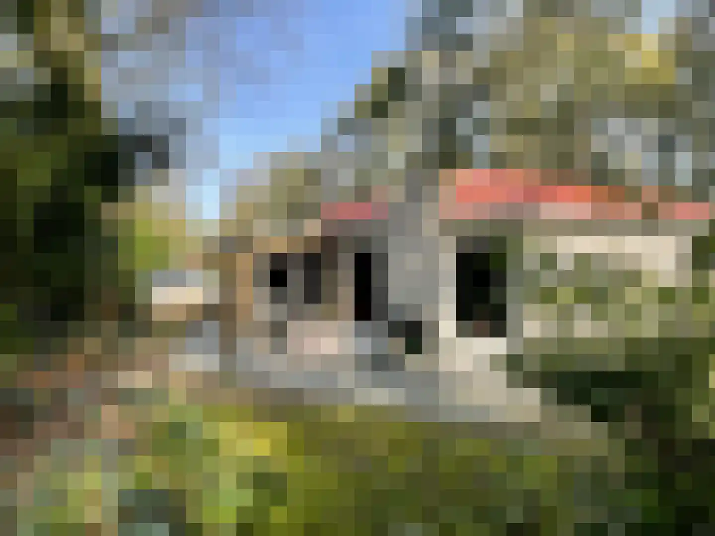 Boslaan 2 14 Harderwijk thumbnail 23
