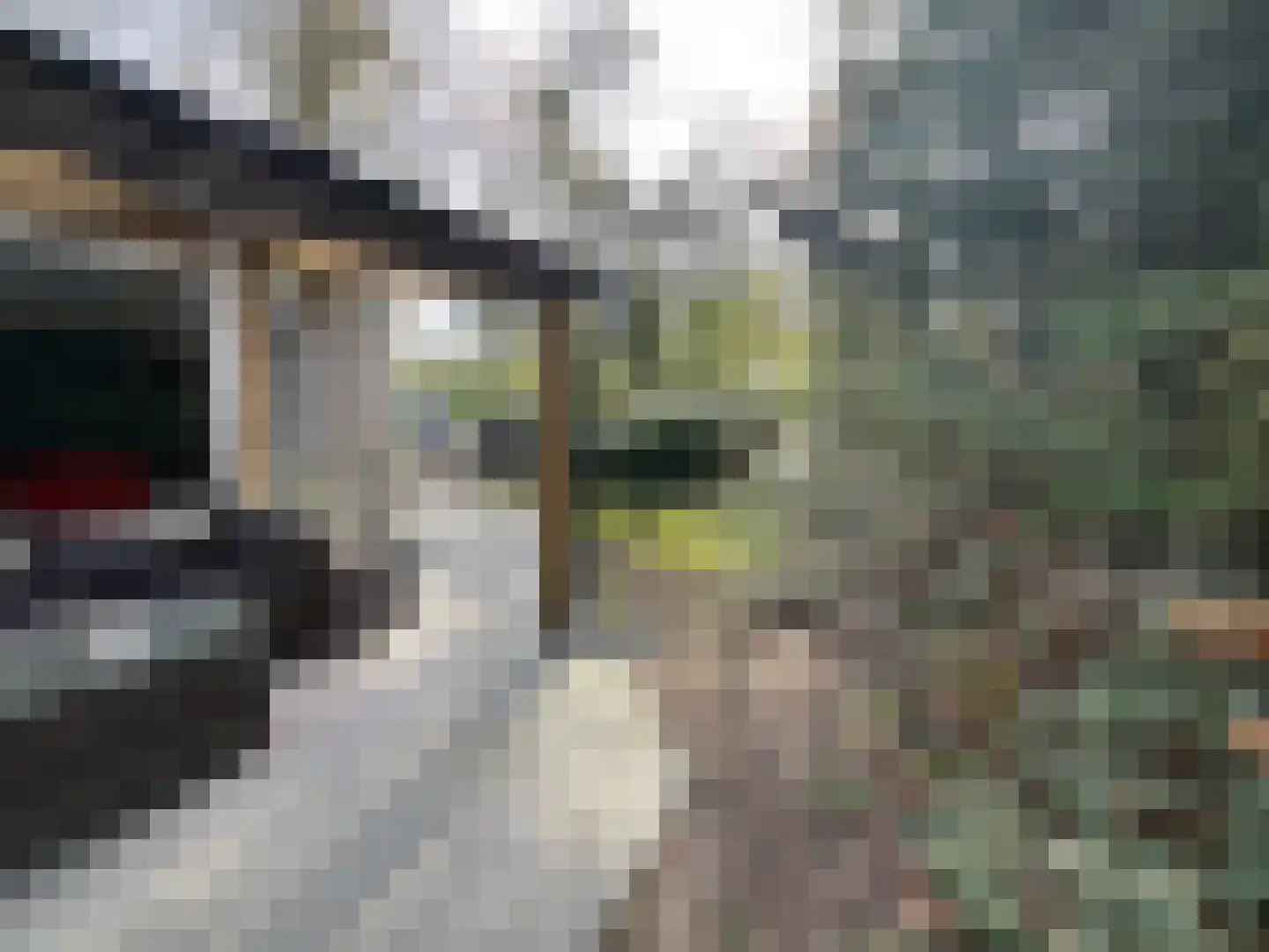 Boslaan 2 14 Harderwijk thumbnail 24