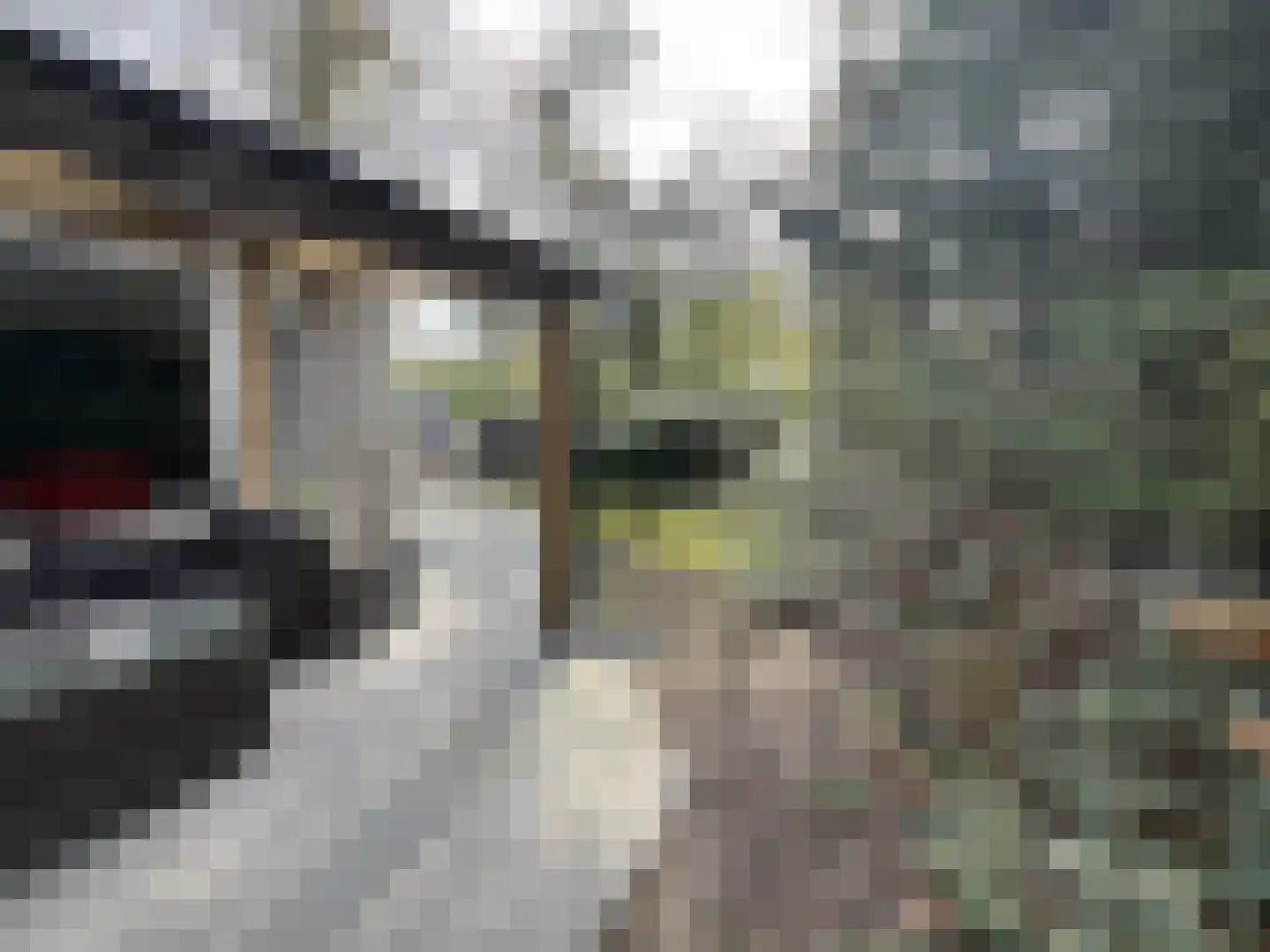 Boslaan 2 14 Harderwijk thumbnail 24