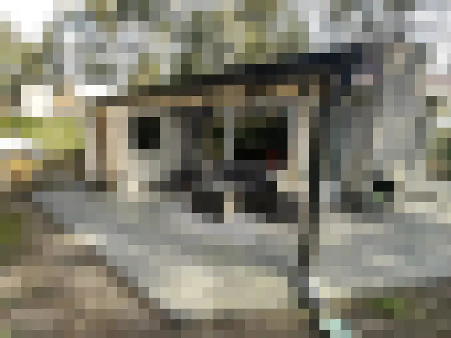 Boslaan 2 14 Harderwijk thumbnail 26