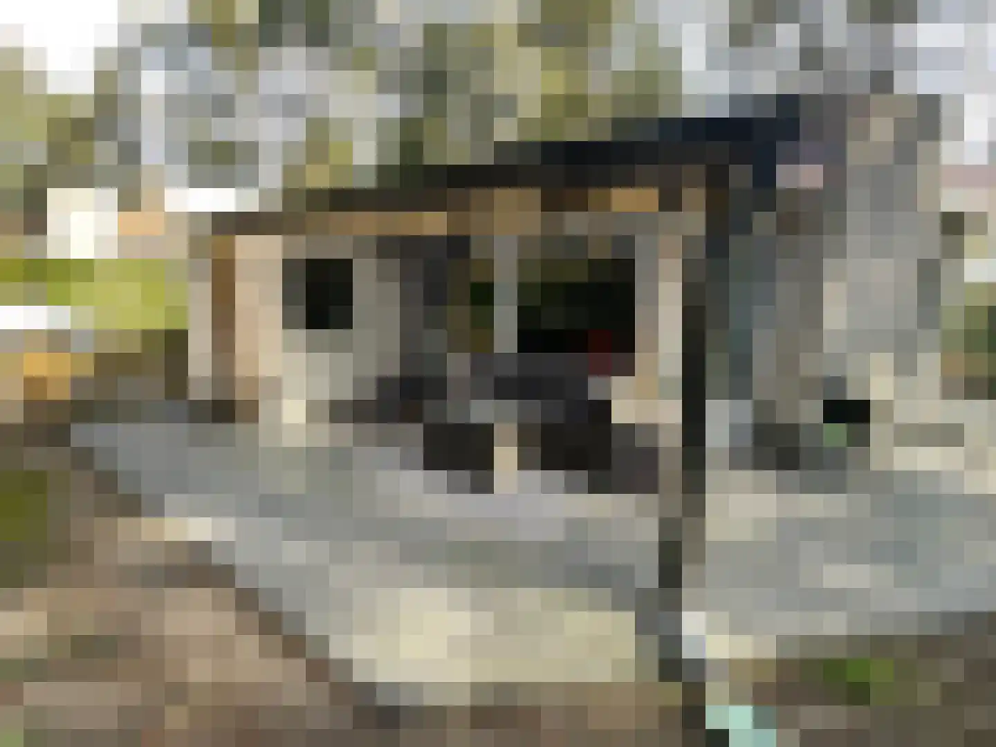 Boslaan 2 14 Harderwijk thumbnail 26