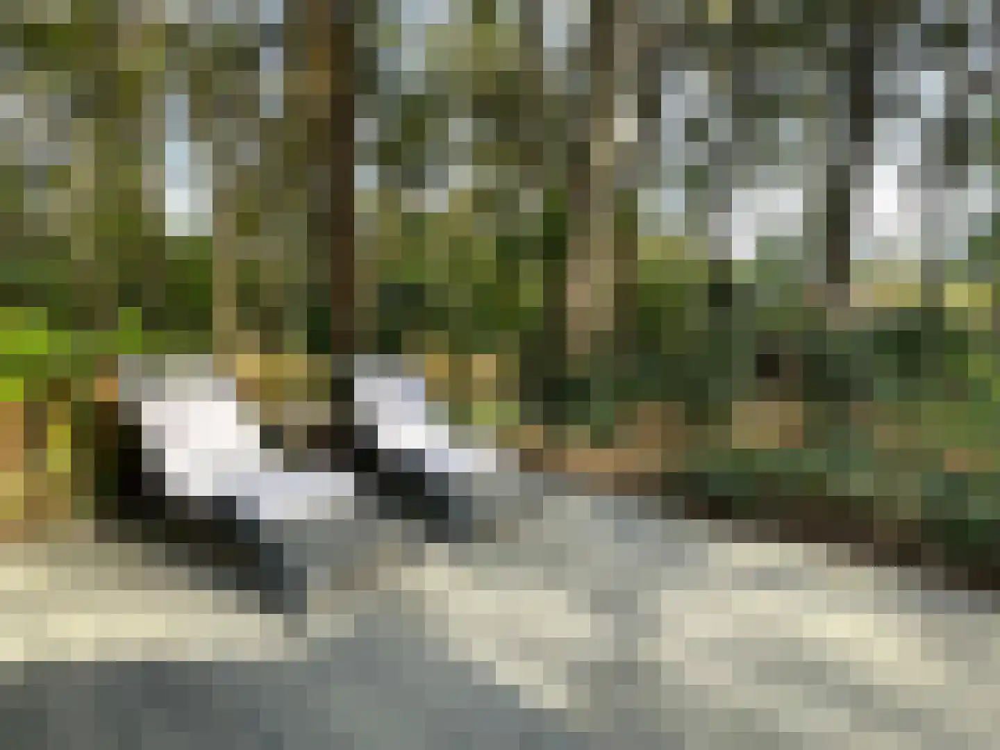Boslaan 2 14 Harderwijk thumbnail 29