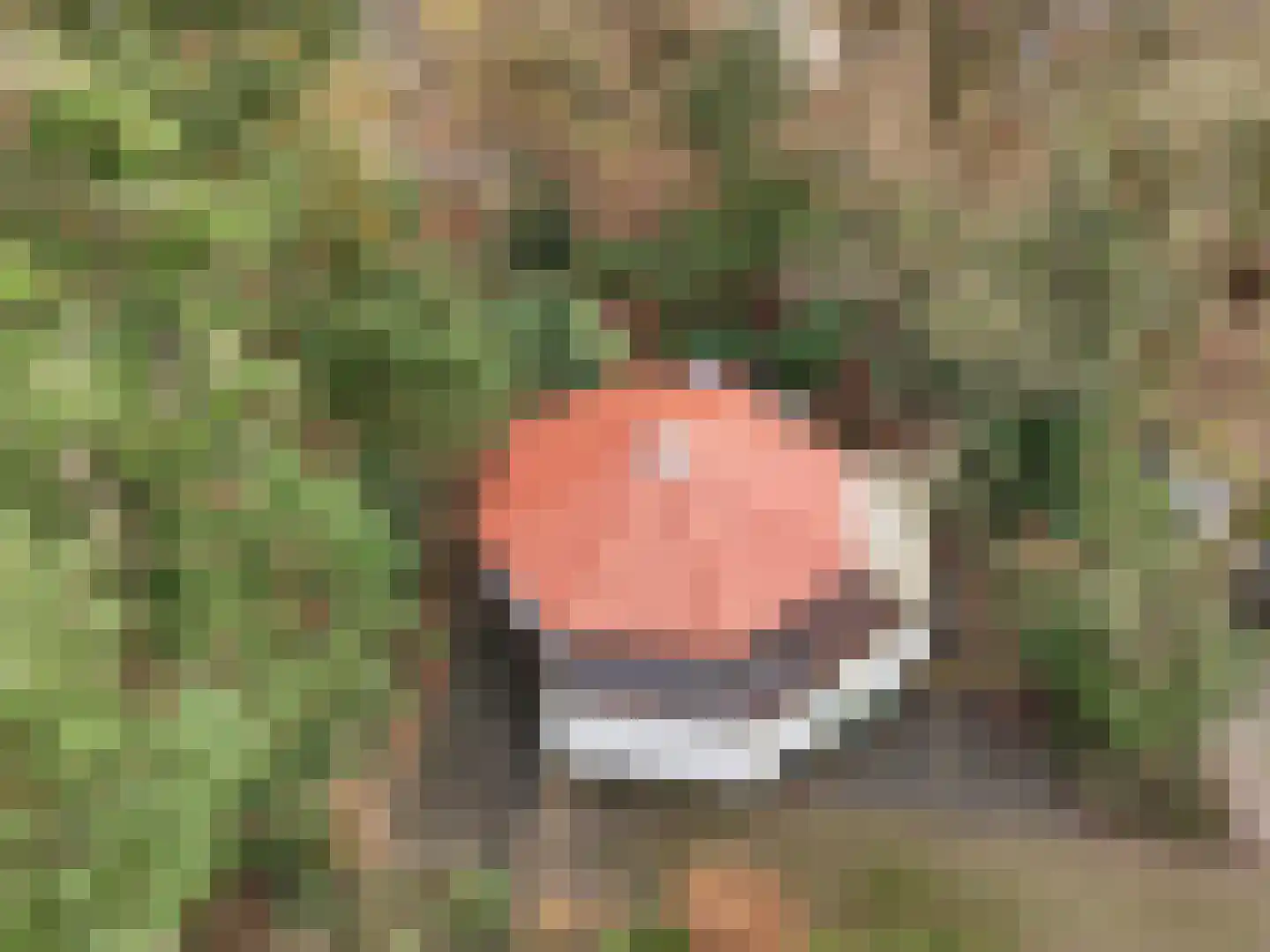 Boslaan 2 14 Harderwijk thumbnail 30
