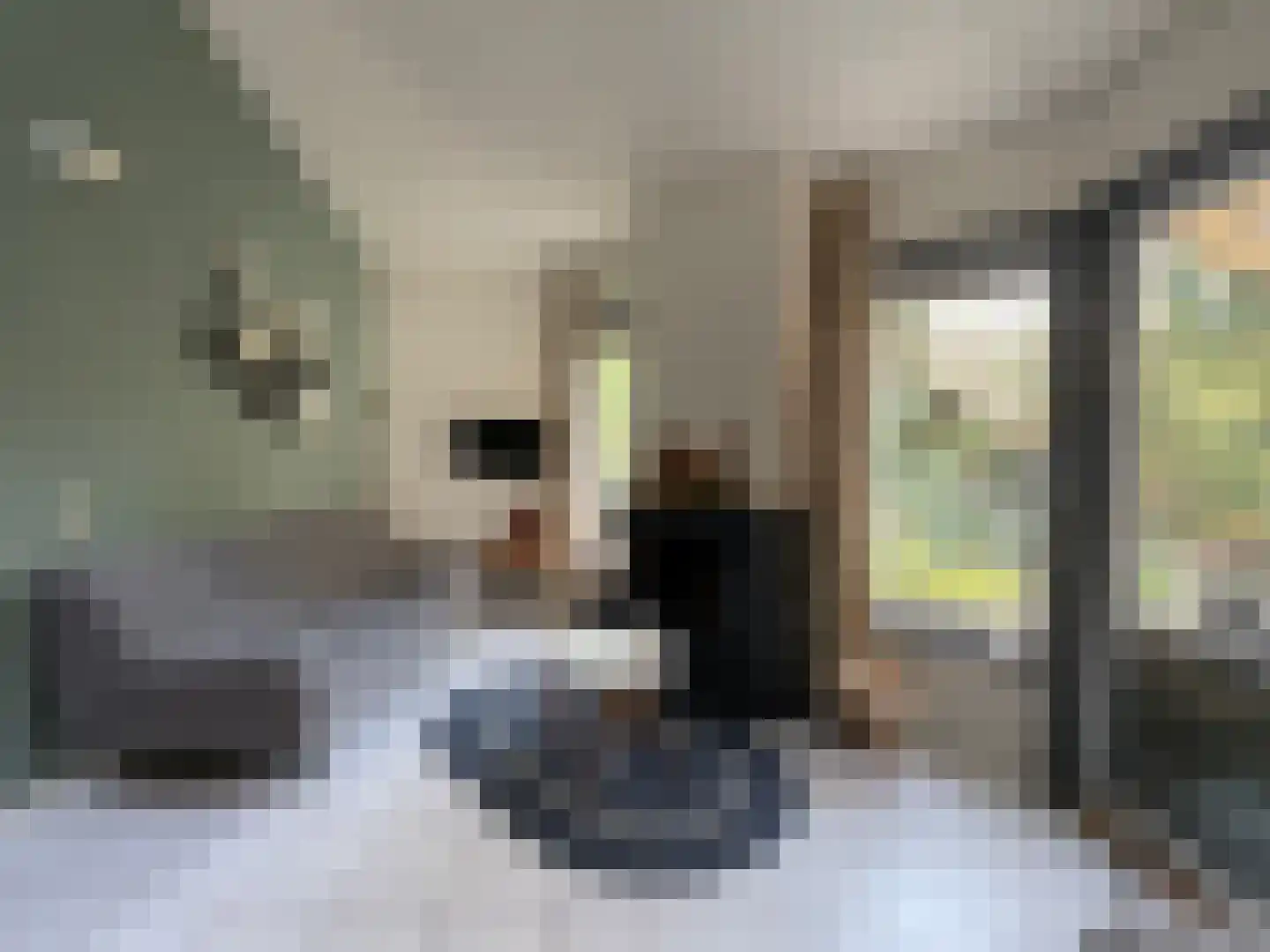 Boslaan 2 14 Harderwijk thumbnail 4