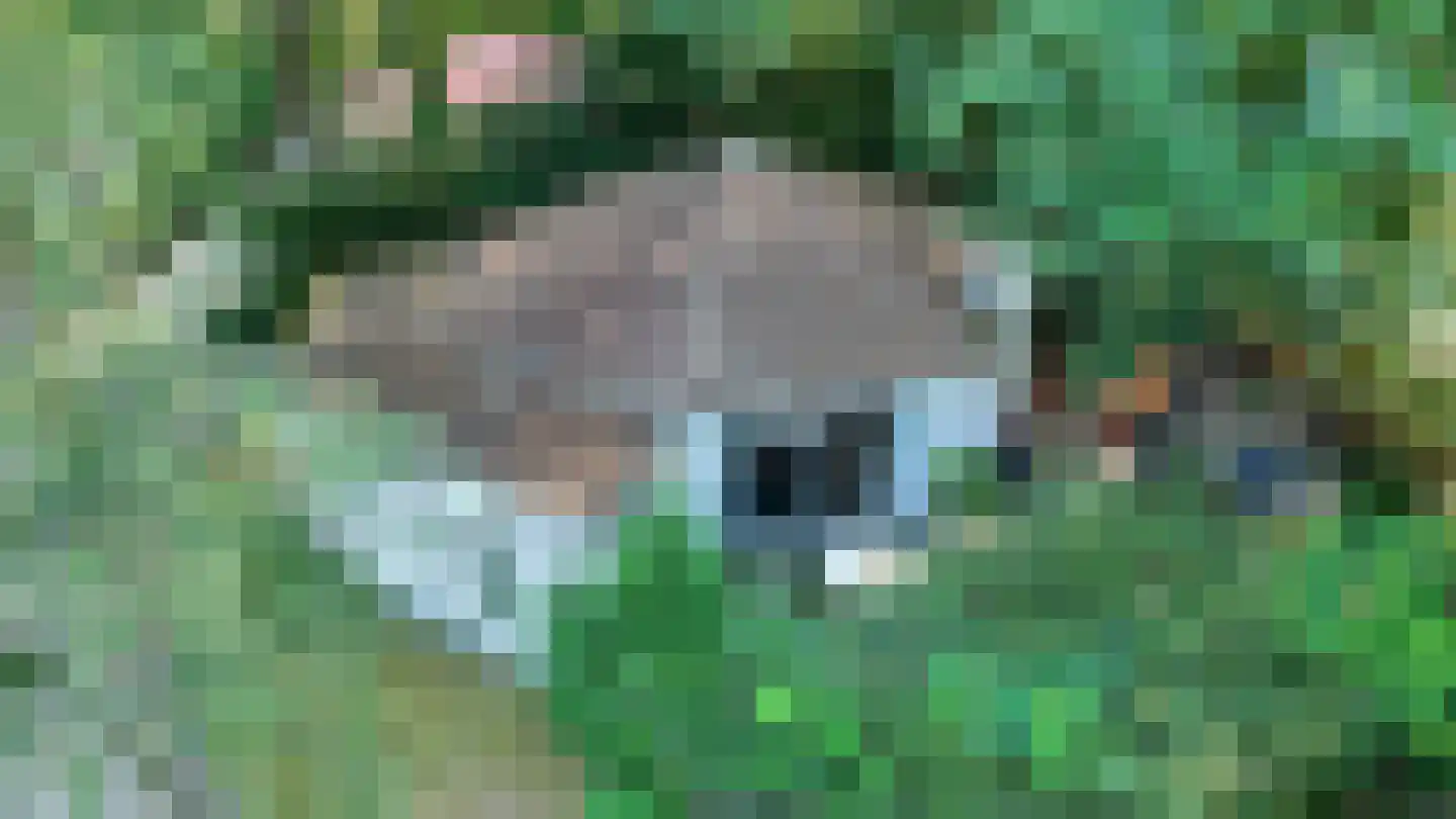 Boslaan 2 15 Harderwijk thumbnail 4