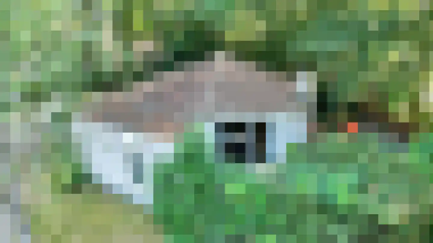 Boslaan 2 15 Harderwijk thumbnail 5