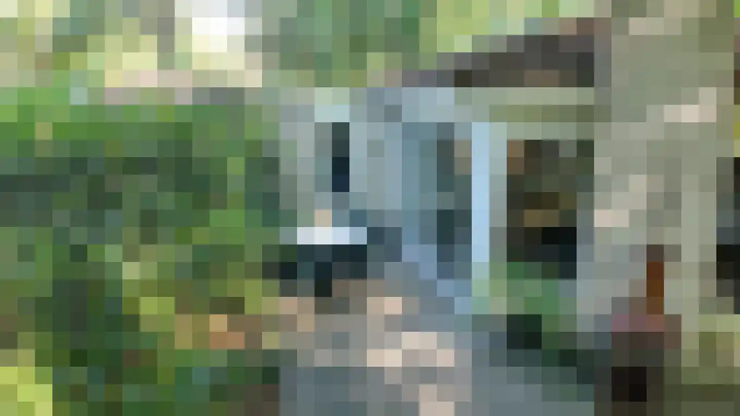 Boslaan 2 15 Harderwijk thumbnail 6