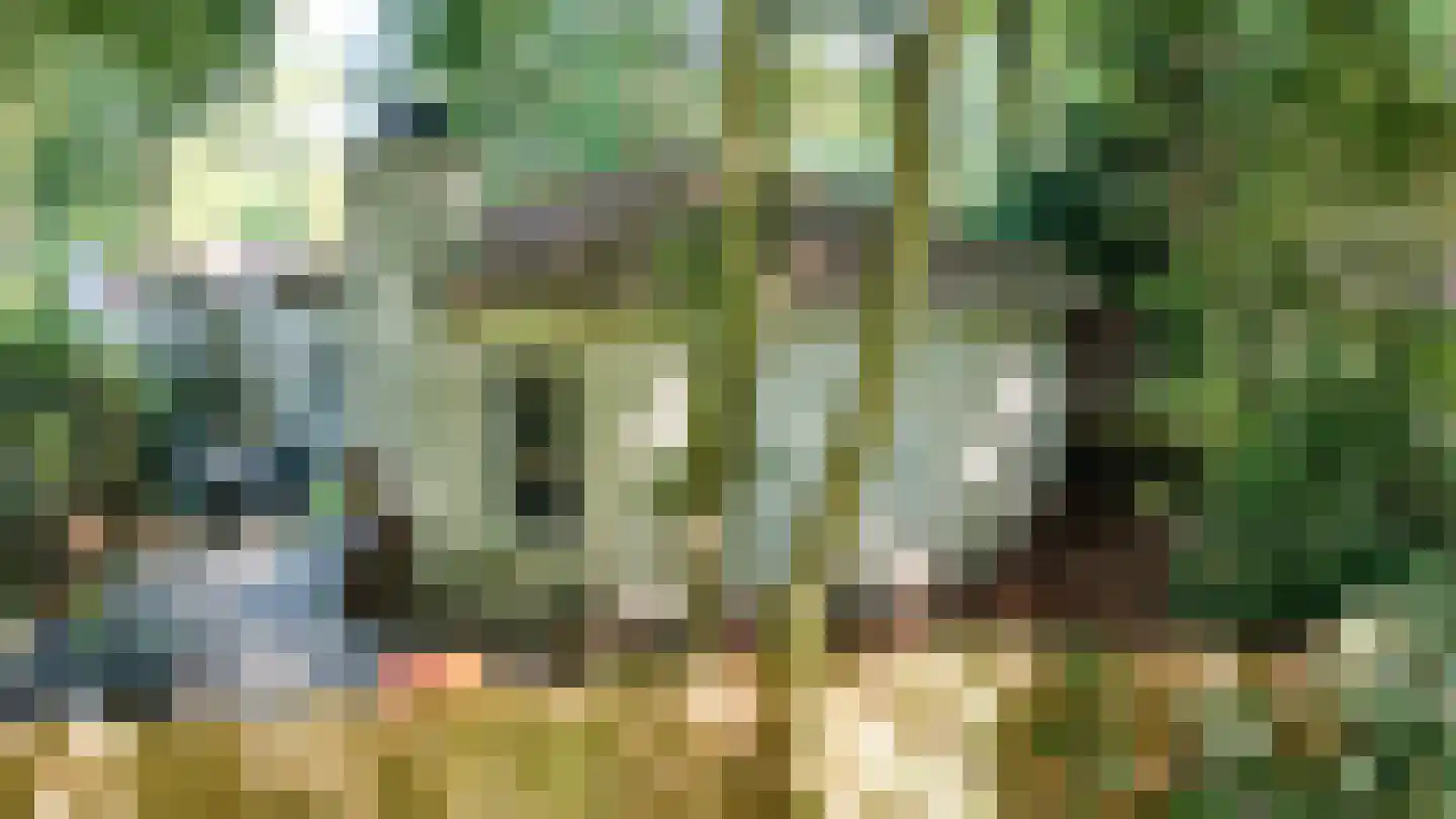 Boslaan 2 15 Harderwijk thumbnail 7