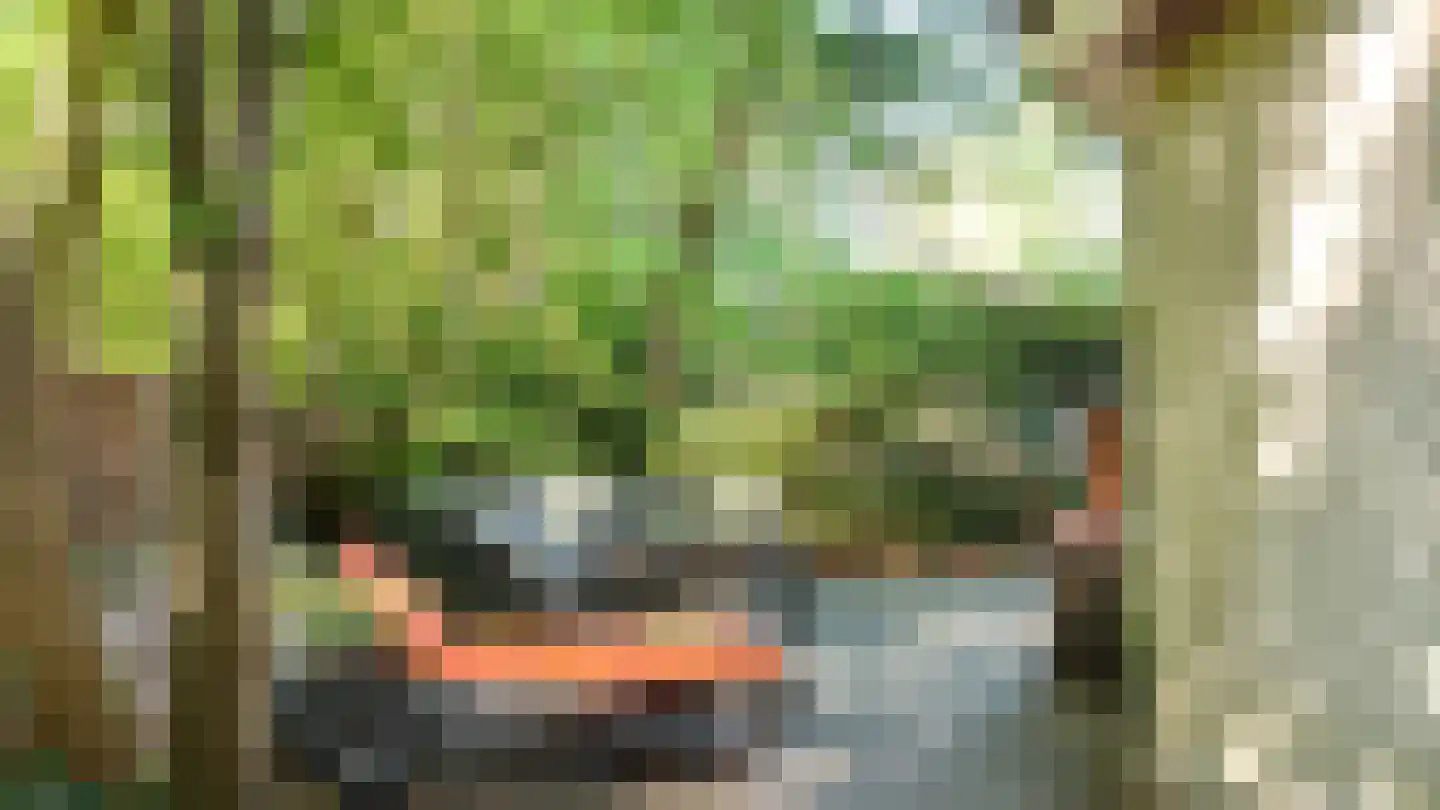 Boslaan 2 15 Harderwijk thumbnail 9