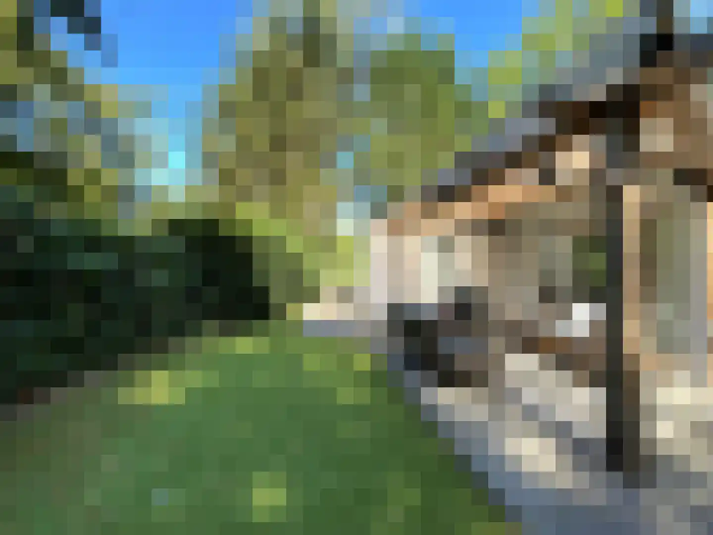 Boslaan 2 20 Harderwijk thumbnail 22