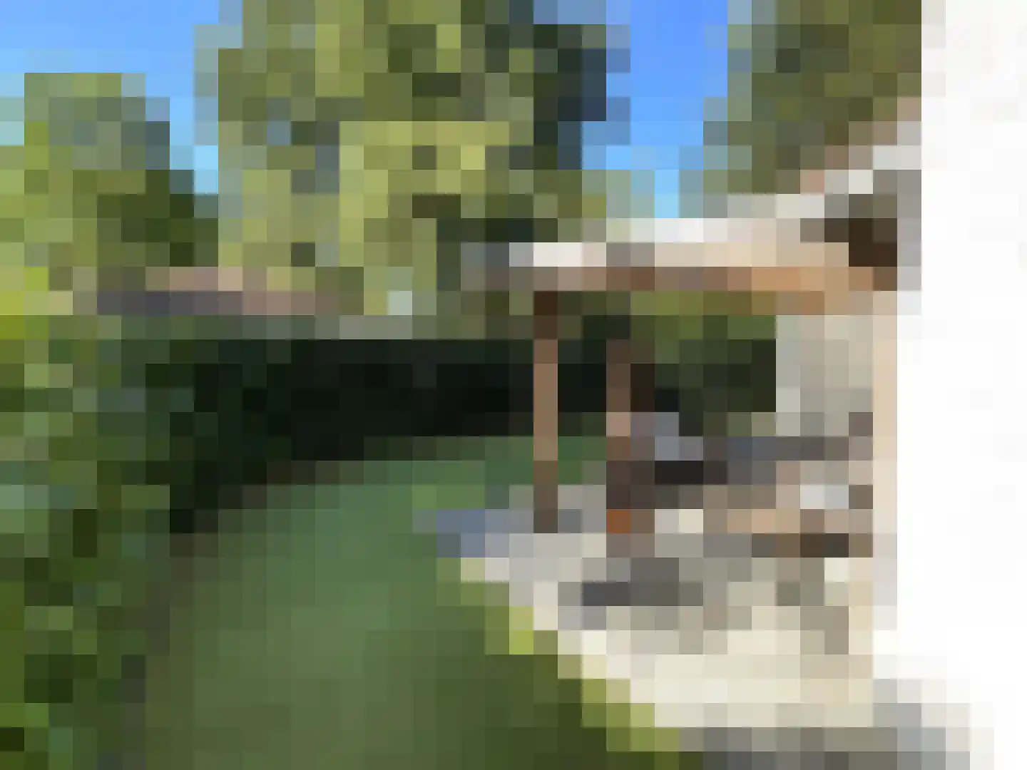 Boslaan 2 20 Harderwijk thumbnail 23