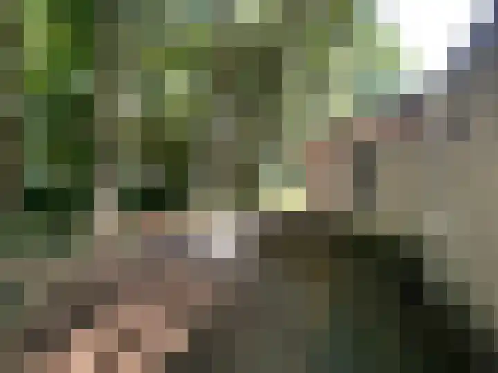 Boslaan 2 3 Harderwijk thumbnail 12