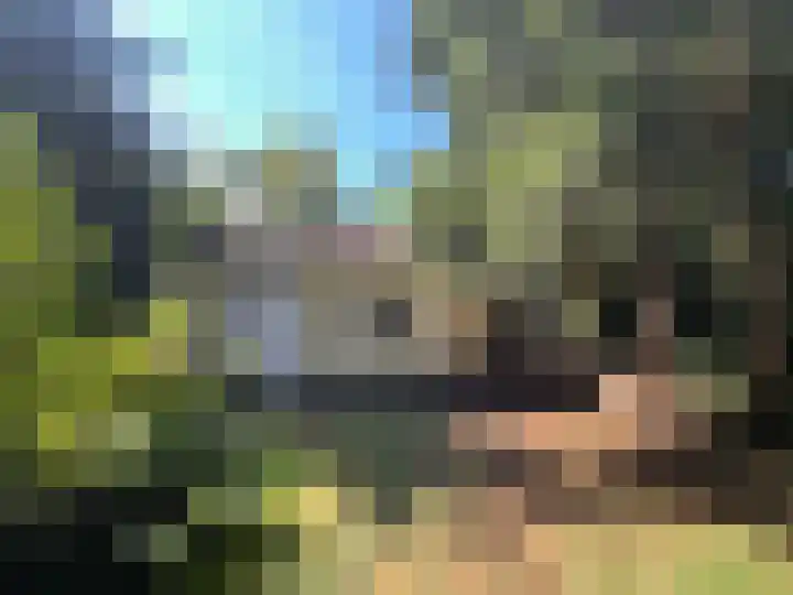 Boslaan 2 3 Harderwijk thumbnail 13