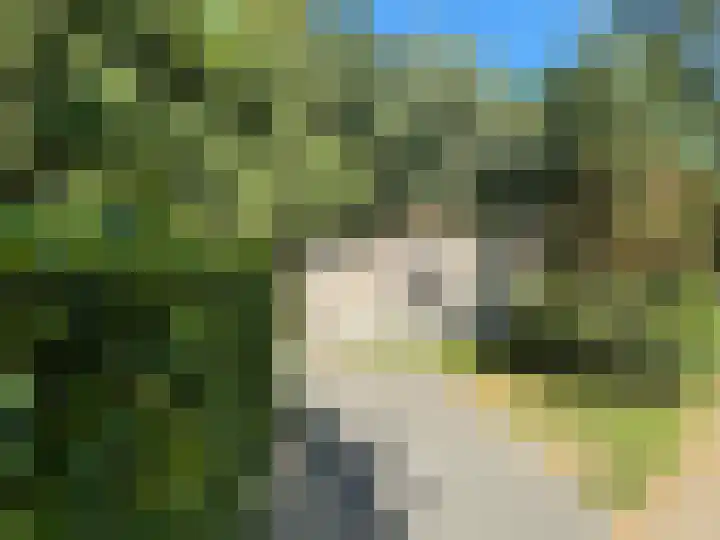 Boslaan 2 3 Harderwijk thumbnail 15
