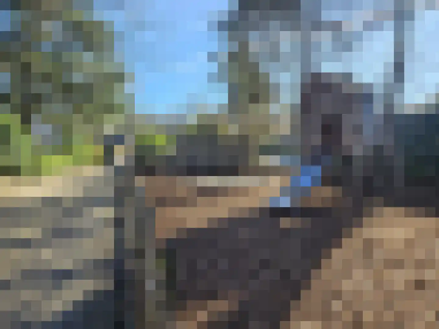Boslaan 2 A 19 Harderwijk thumbnail 32