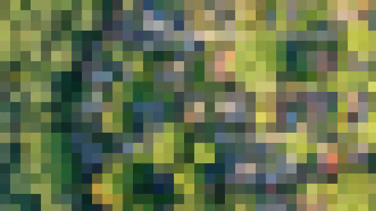 Boslaan 2 A 32 Harderwijk thumbnail 27