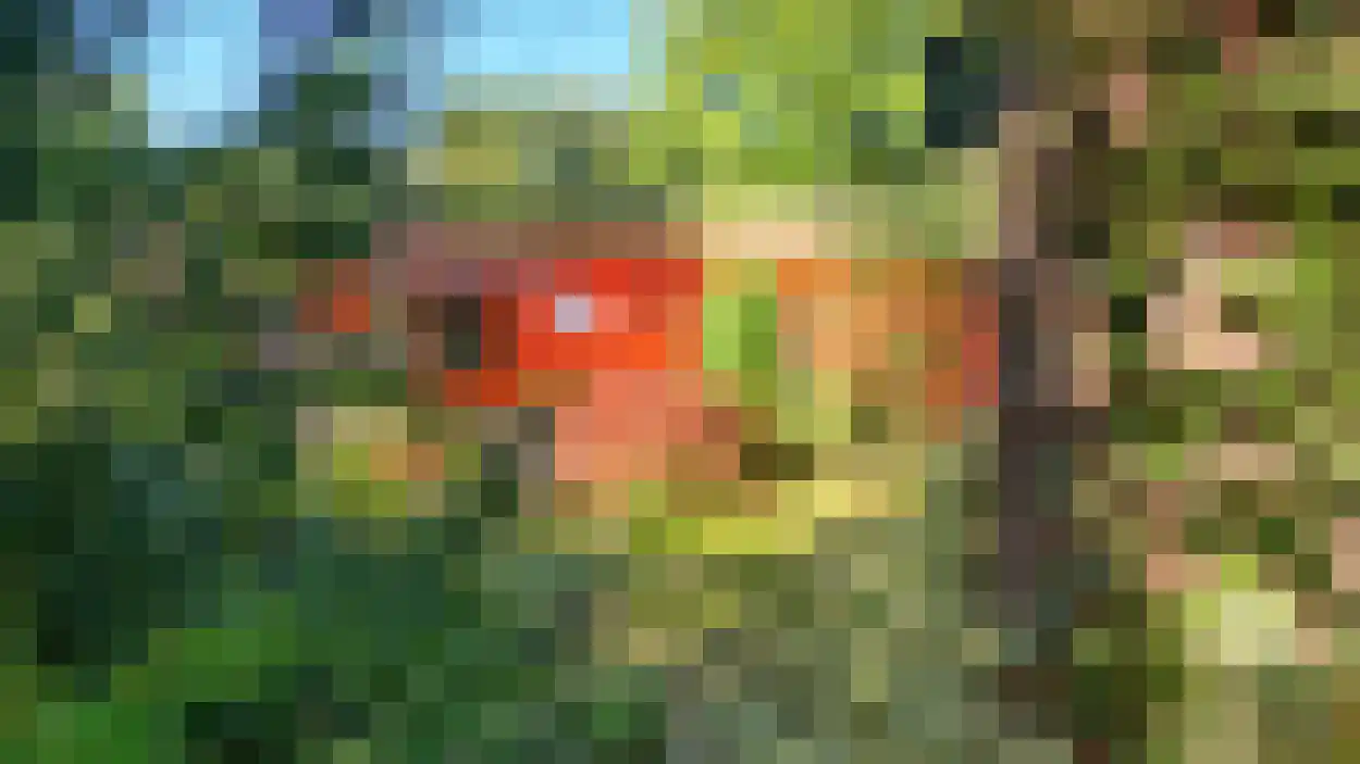 Boslaan 2 A 32 Harderwijk thumbnail 4