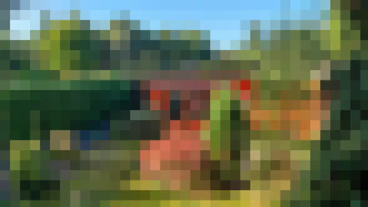 Boslaan 2 A 32 Harderwijk thumbnail 6
