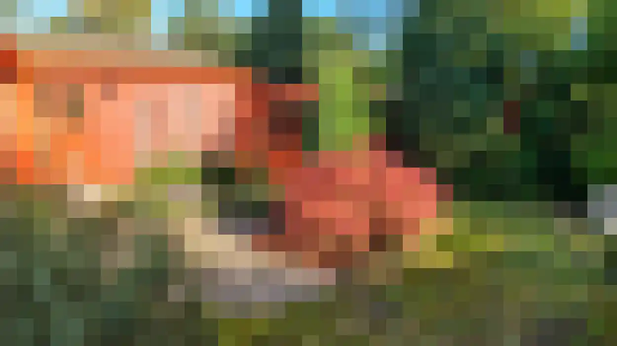 Boslaan 2 A 32 Harderwijk thumbnail 7