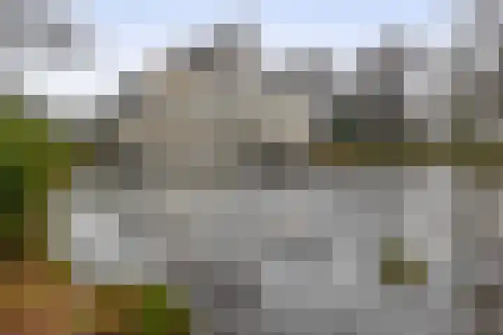 Boslaan 2 A 37 Harderwijk thumbnail 23