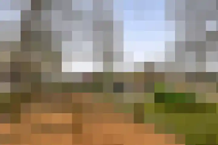 Boslaan 2 A 37 Harderwijk thumbnail 25