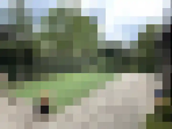 Boslaan 2 A 39 Harderwijk thumbnail 19