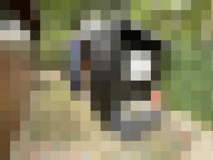 Boslaan 2 A 39 Harderwijk thumbnail 21