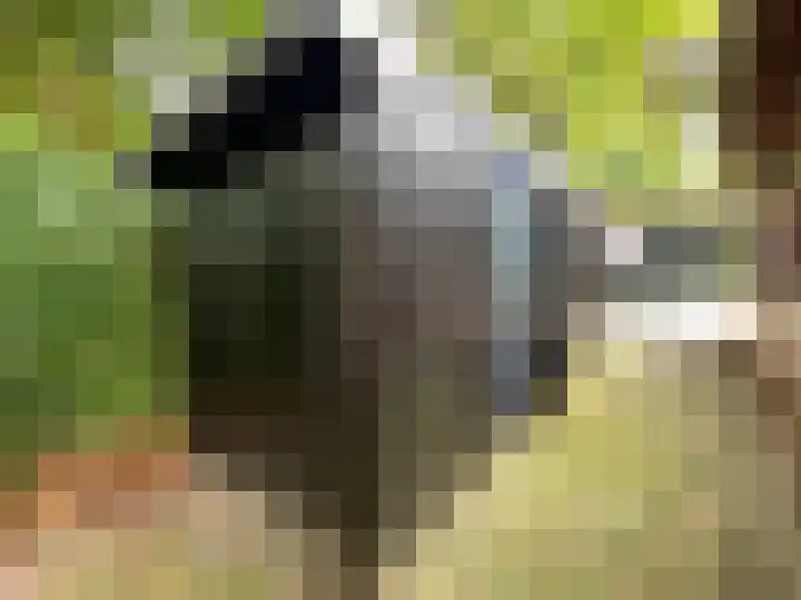 Boslaan 2 A 39 Harderwijk thumbnail 22