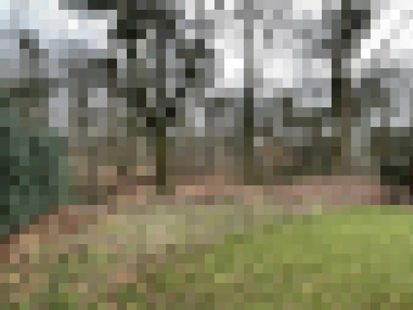 Boslaan 2 A 4 Harderwijk thumbnail 16