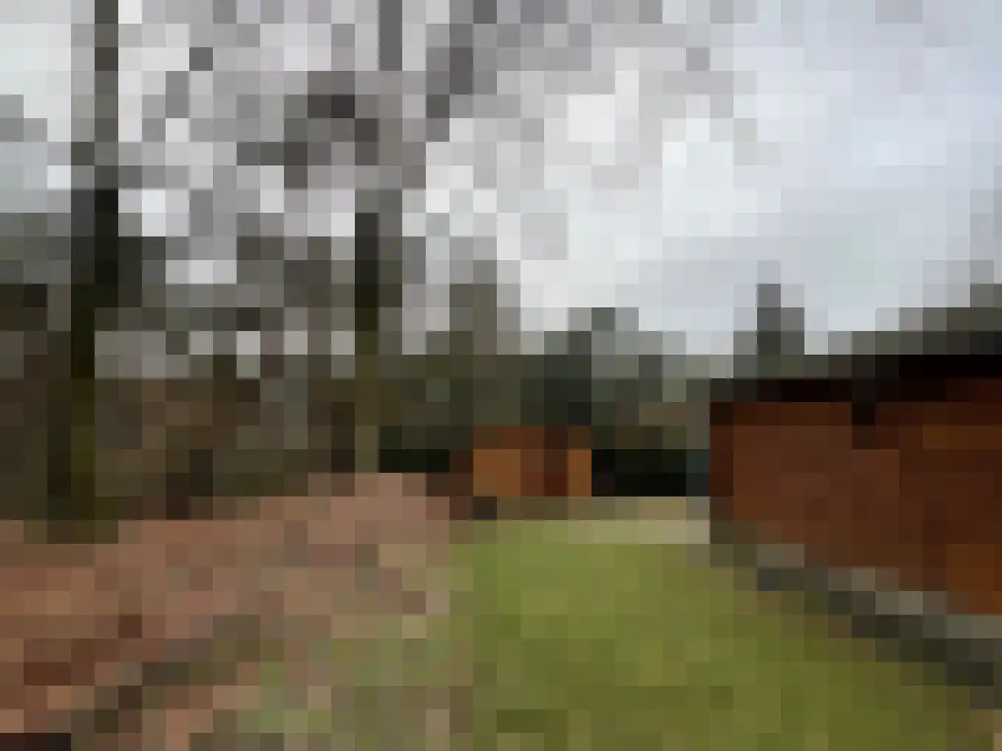 Boslaan 2 A 4 Harderwijk thumbnail 17