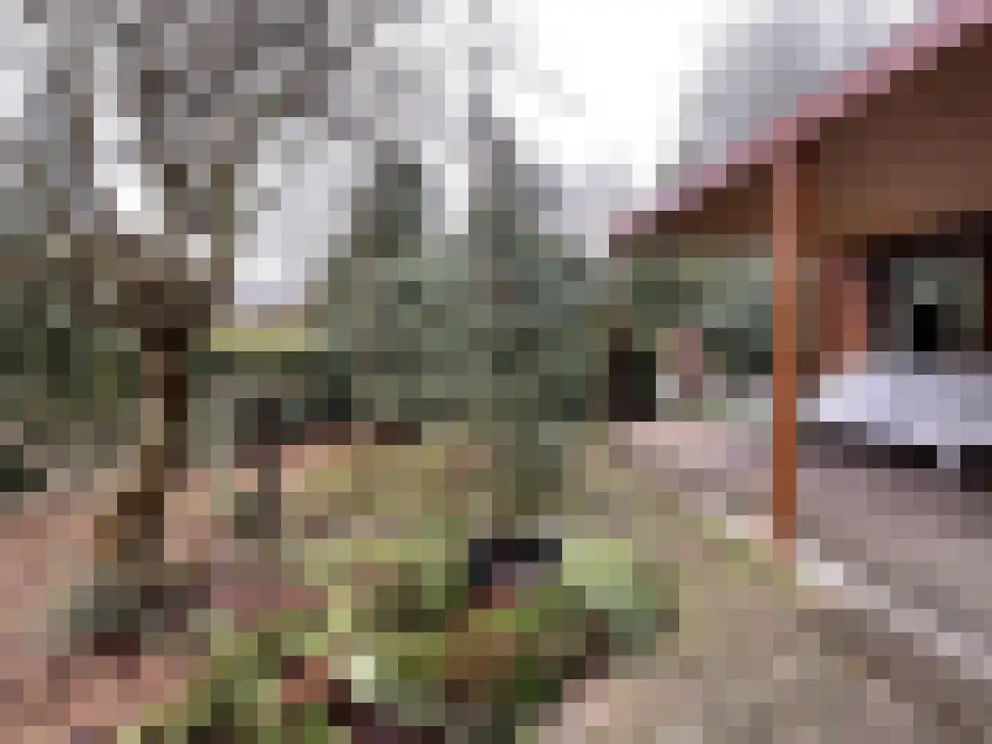 Boslaan 2 A 4 Harderwijk thumbnail 21