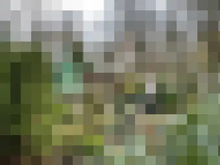 Boslaan 2 A 75 Harderwijk thumbnail 21