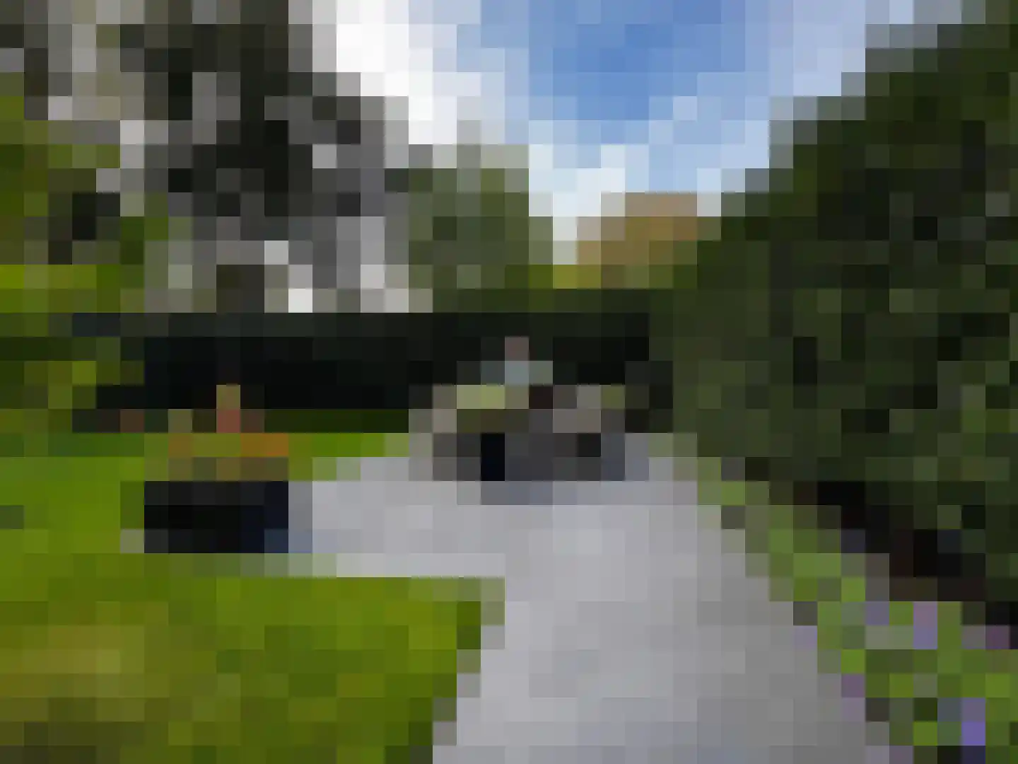 Boslaan 2 A 8 Harderwijk thumbnail 14