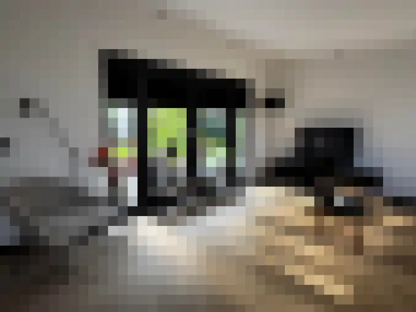 Boslaan 2 A 8 Harderwijk thumbnail 17