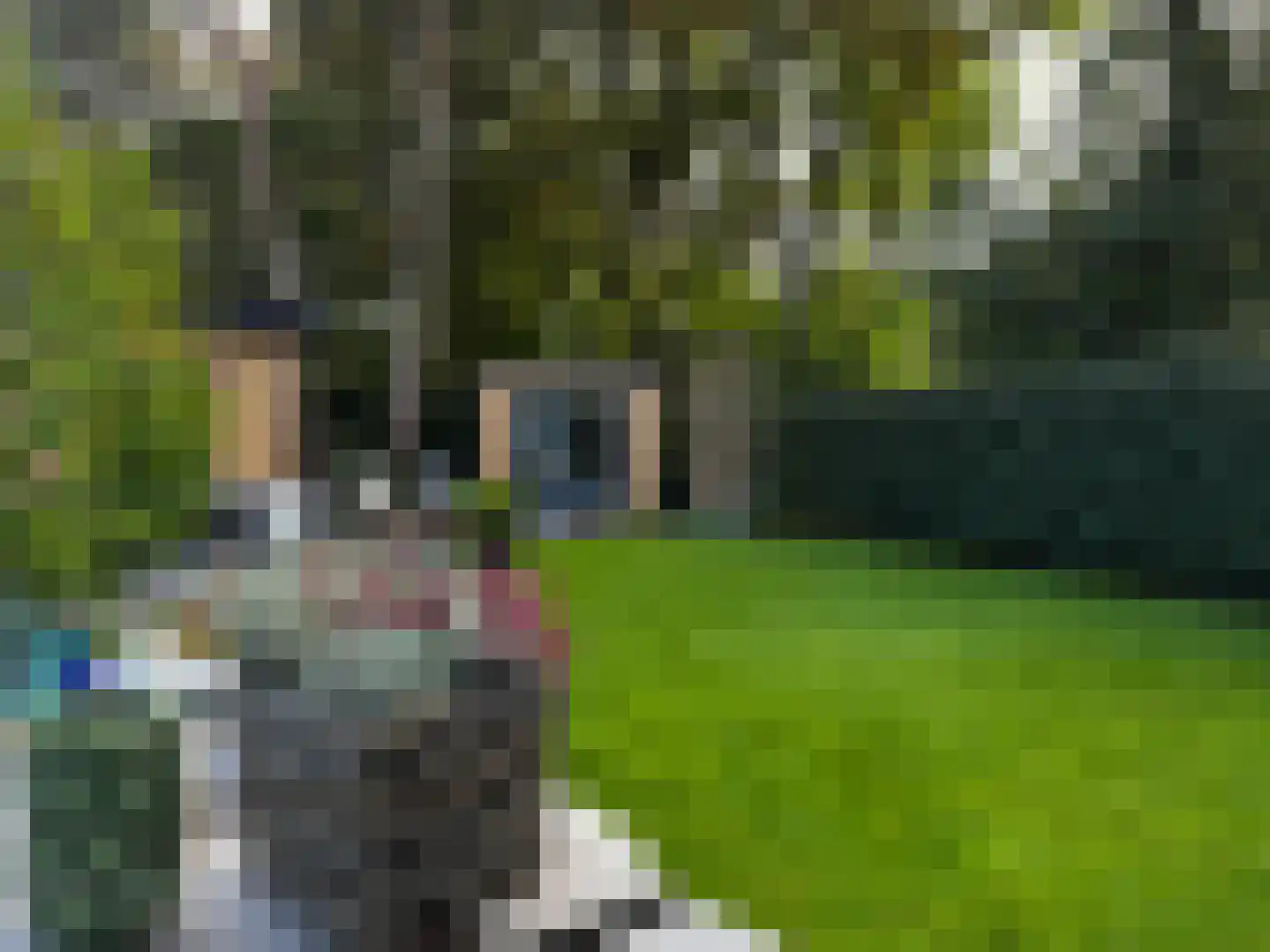 Boslaan 2 A 8 Harderwijk thumbnail 34