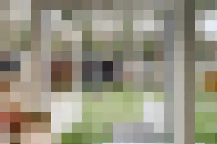 Boslaan 2 G Katwijk thumbnail 20