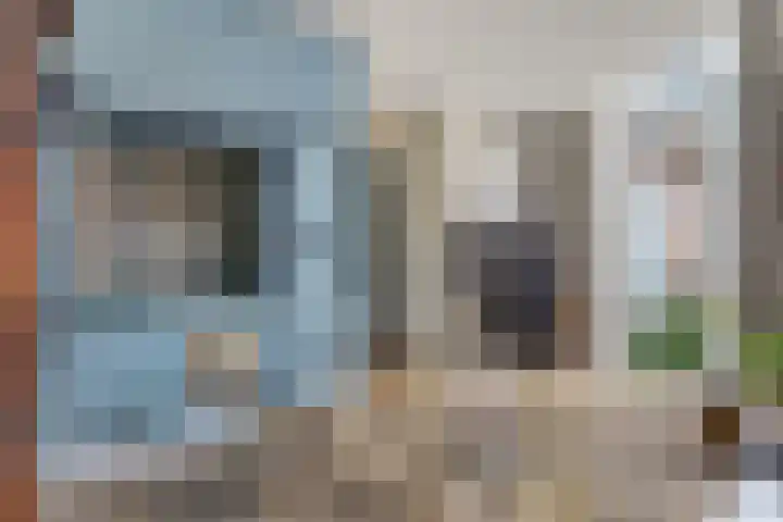 Boslaan 2 G Katwijk thumbnail 34