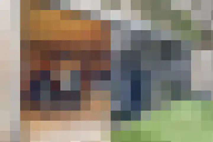 Boslaan 2 G Katwijk thumbnail 42