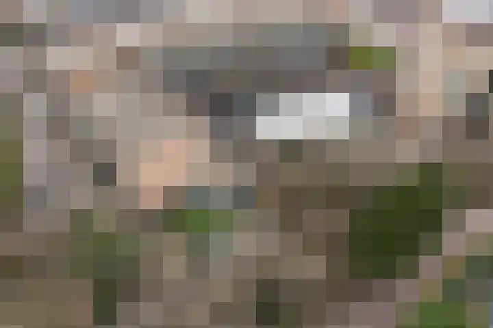 Boslaan 2 G Katwijk thumbnail 7