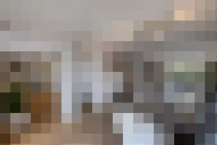Boslaan 2 Huizen thumbnail 10