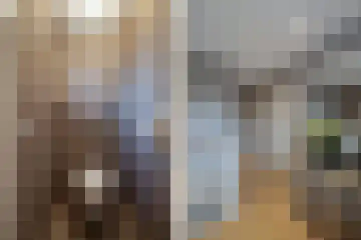 Boslaan 2 Huizen thumbnail 17