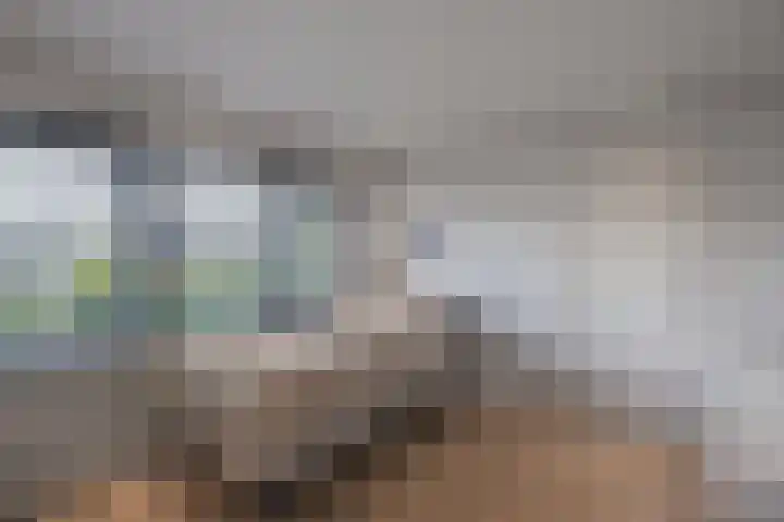 Boslaan 2 Huizen thumbnail 19