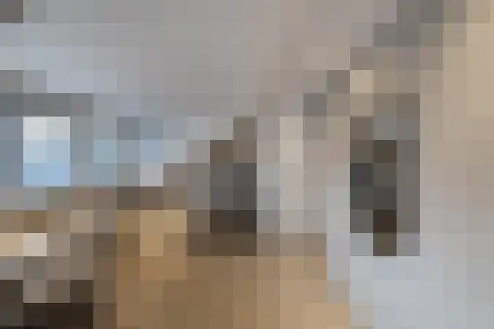 Boslaan 2 Huizen thumbnail 27