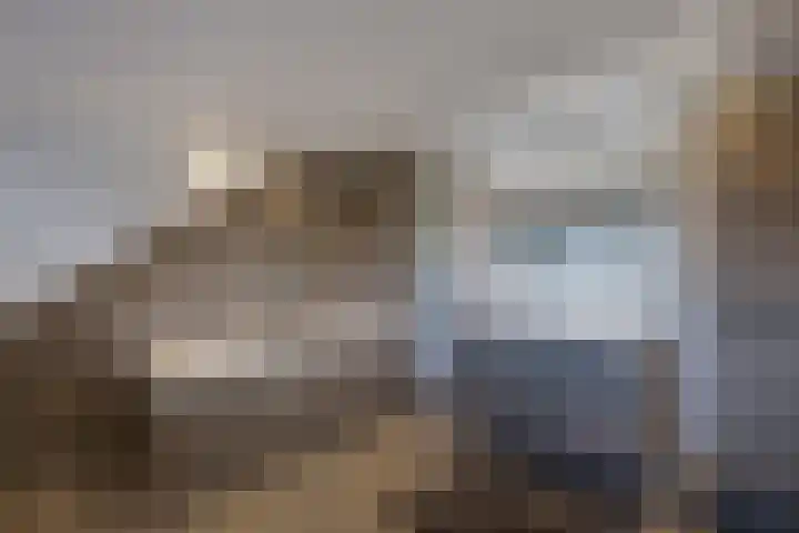 Boslaan 2 Huizen thumbnail 30