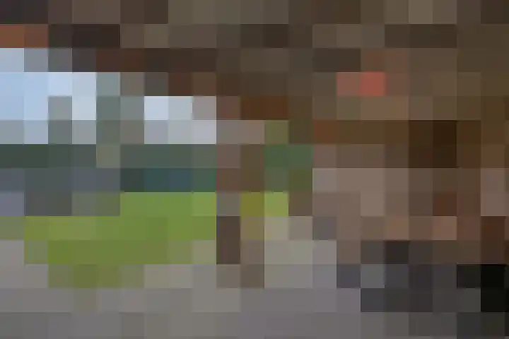 Boslaan 2 Huizen thumbnail 35